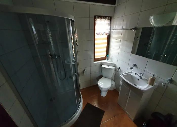 Domki Niesiolowice Chata *