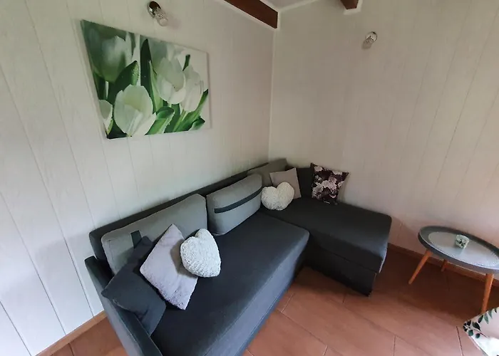 Domki Niesiolowice Chata *