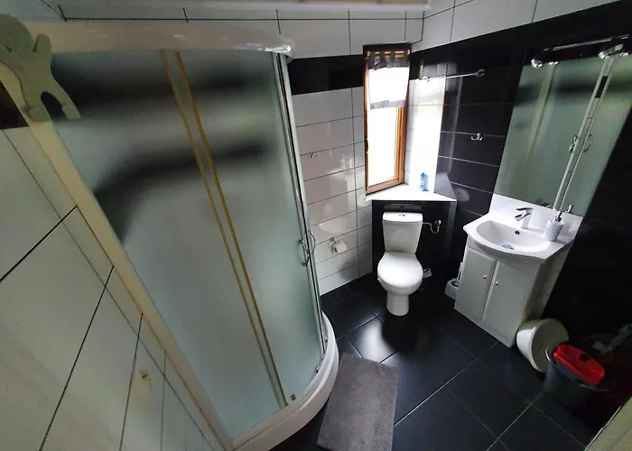 Domki Niesiolowice *